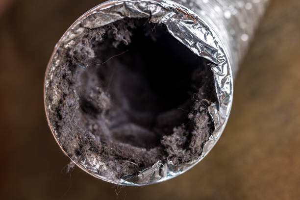 Best Local Air Duct Cleaning Services  in Gladeville, TN
